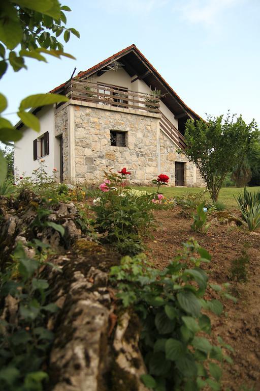 Apartment Eva Rakovica